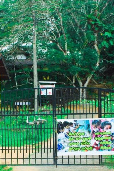 131969678 217532783263257 6048972063424459139 N