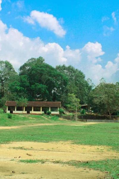 132101145 217534136596455 8578725901602960009 N X Thumb