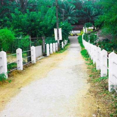 132203206 217532733263262 8537011942640124959 N X Thumb