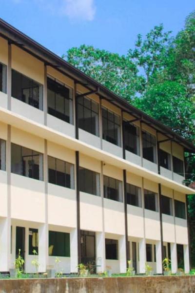 132267317 217533453263190 6980425507070421914 N X Thumb