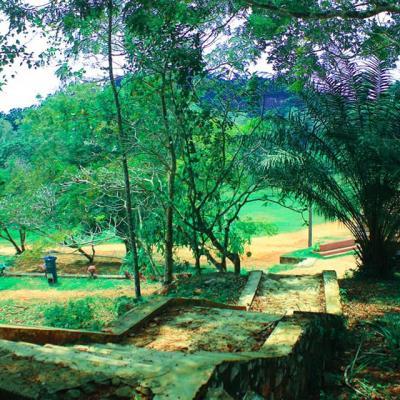 132394098 217533766596492 3252796425717671777 N Thumb