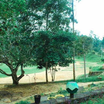 132781006 217533346596534 5688188552655982314 N