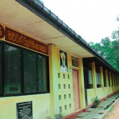 133554822 217534033263132 5996338851247991382 N X Thumb