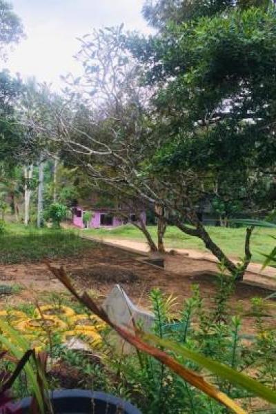 133608920 218931576456711 8699327500986705457 N Thumb