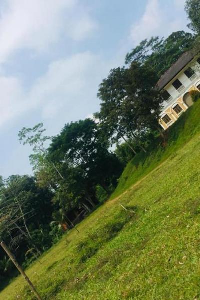 133623751 217833326566536 6570660310396096000 N X Thumb