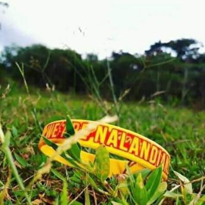 261887371 618913179448586 9147398688345433371 N X Thumb