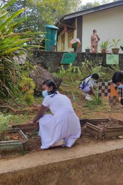 Img 20220310 Wa0049 Thumb