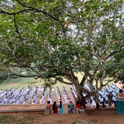 Img 20220318 112441 X Thumb