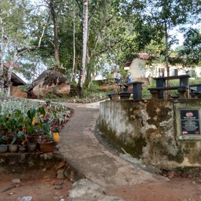 Img20220318074938 Thumb