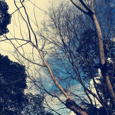 Whatsapp Image 2022 04 24 At 8.47.36 Pm X Thumb