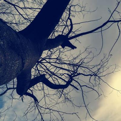 Whatsapp Image 2022 04 24 At 8.47.37 Pm X Thumb