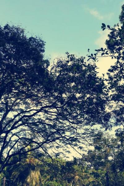 Whatsapp Image 2022 04 24 At 8.47.38 Pm X Thumb